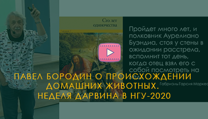 Павел Бородин о происхождении  домашних животных.  Неделя Дарвина в НГУ-2020