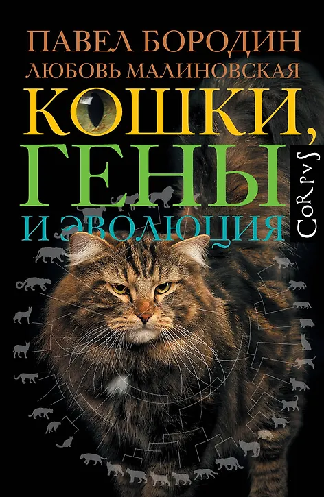 Cats-genes-and-evolution